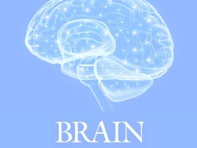 Publication d’un article dans Brain
